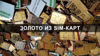 Золото из 1000 чипов SIM-карт и кредитных карт