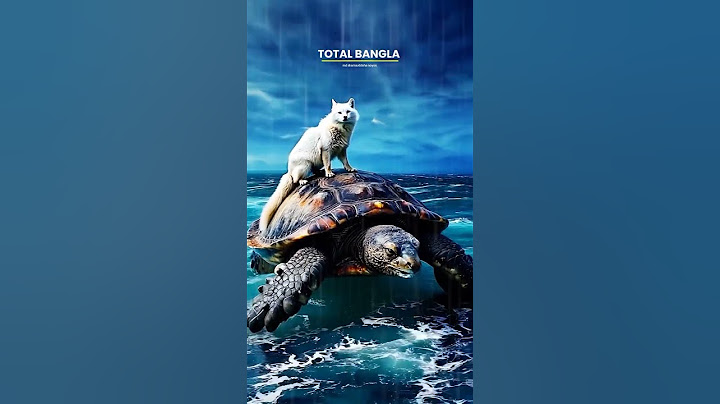 100-Year-Old Turtle Faces Danger! সমুদ্রের মাঝখানে এ ঘটনা না দেখলে বিশ্বাস করা অসম্ভব।