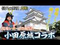 豪華イベント盛りだくさん！『小田原城』現地でライブ配信！【信長の野望真戦】