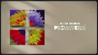 David Cordero - Primavera (Letra/Lyrics)