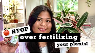 🚫 STOP over-fertilizing your houseplants! ✋🪴💦 | Fertilizing FAQ + Perky Plants Giveaway
