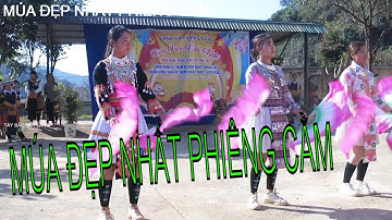 177. Vũ điệu Cách Bướm Mùa xuân. H