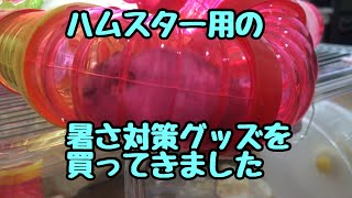 ［ハムスター］今回暑さ対策グッズを購入してきました　Hamster heat measures