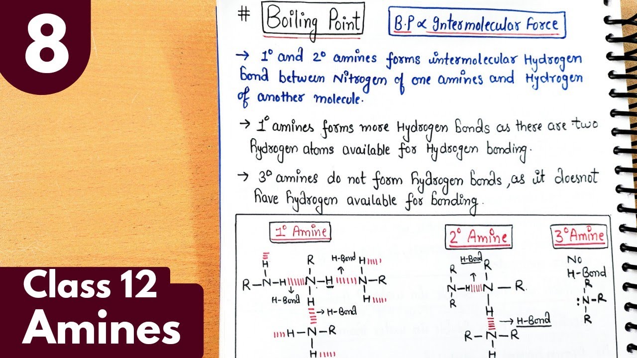 8) Boiling point and solubility of amines| Amines vs alcohols| Amines Class12 Chemistry #neet #jee