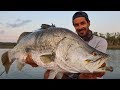 Topwater dream fish barramundi