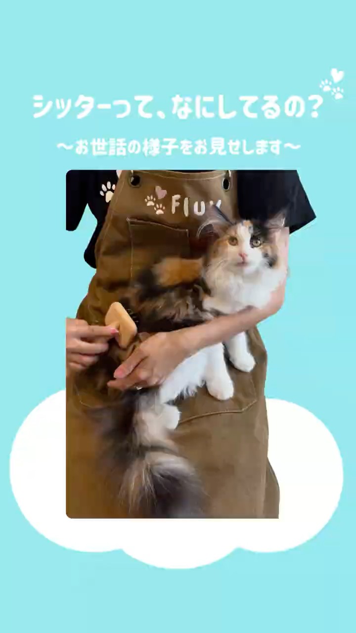 ペットシッター致します ねこじゃらし（ペットシッター） | Ueda-shi Nagano