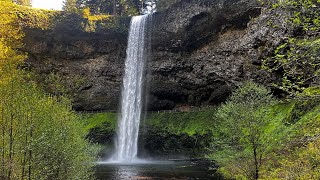  Chasing waterfalls and finding peace at Silver Falls State Park 🌲💦 #waterfall #oregon #travel 