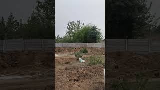 #sitework #construction #civil #fb #song #love