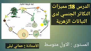 الدرس 18: مميزات التكاثر الجنسي لدى النباتات الزهرية