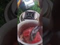 jelly chocolate😋😋#mini kichan#trending #viral #cooking #tara mini food 7