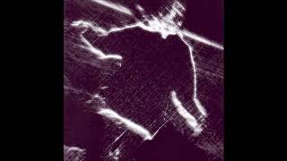 (V.E.G.A.) - Perspectives