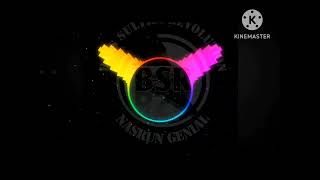 Lagu Joget Dangdut Rena rena || Tiktok Virall || Newrmx Nasrun genial BSR