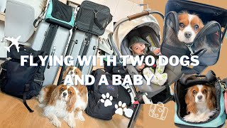 HOW TO FLY WITH TWO DOGS AND A BABY // Pet In Cabin Air Canada International Flight Vlog