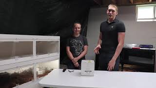 Famous Indo Caramel reticulated python unboxing Profile