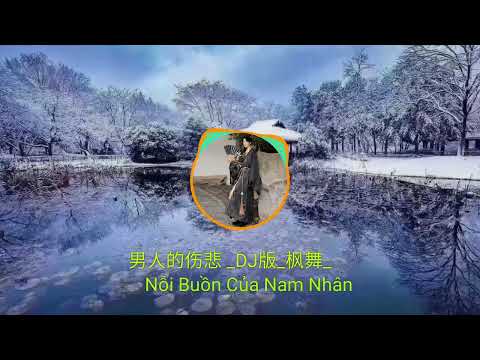 男人的伤悲 _DJ版_ (Nỗi Buồn Của Nam Nhân)#枫舞#抖音最好听的歌曲2022