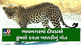 Bhavnagar: 4 year old dies after being attacked by leopard in Talaja| TV9GujaratiNews