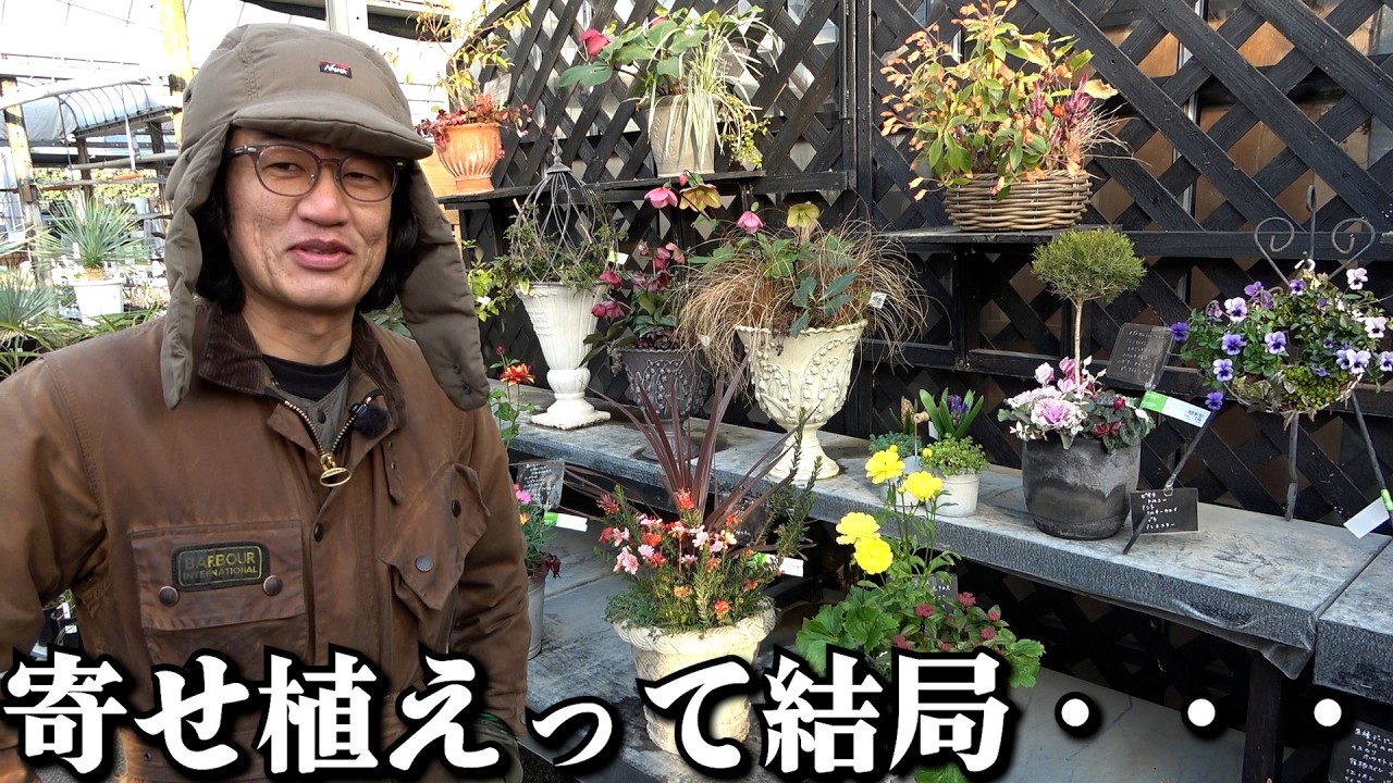 寄せ植えの〇〇問題【カーメン君】【園芸】【ガーデニング】