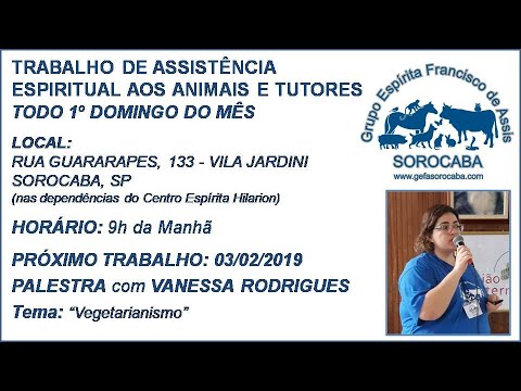 Assista: Palestra presencial - c/ VANESSA RODRIGUES (03/02/2019)