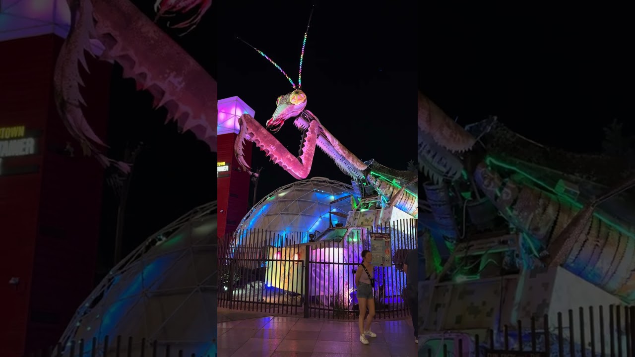 Praying Mantis (2025-04-13, Downtown Container Park, Las Vegas, NV) [4K]