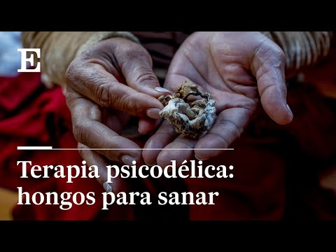 Video: Enfermedades de los hongos: nombres, fotos y descripción