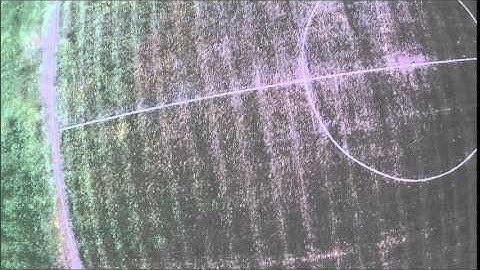 Airmode backflip into dive