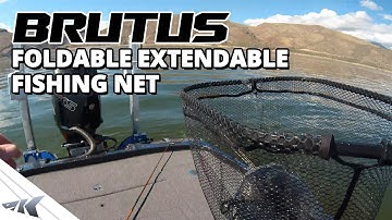 NEW KastKing Brutus Foldable Extendable Fishing Net