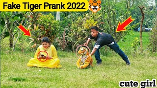 Fake Tiger Prank With Grandpa !! Fake Tiger vs Public Reaction Prank Video By Razu prank tv