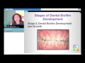 Improving Periodontal Health by Disrupting Dental Plaque Biofilm