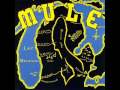 Mule - Now I Truly Understand