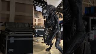 Practical effect of the Xenomorph from Alien: Romulus.#shorts #alienromulus #movies #bts