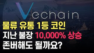 물류 유통 1등 코인. 지난 불장 10,000% 상승. 존버해도 될까요? 비체인 VET