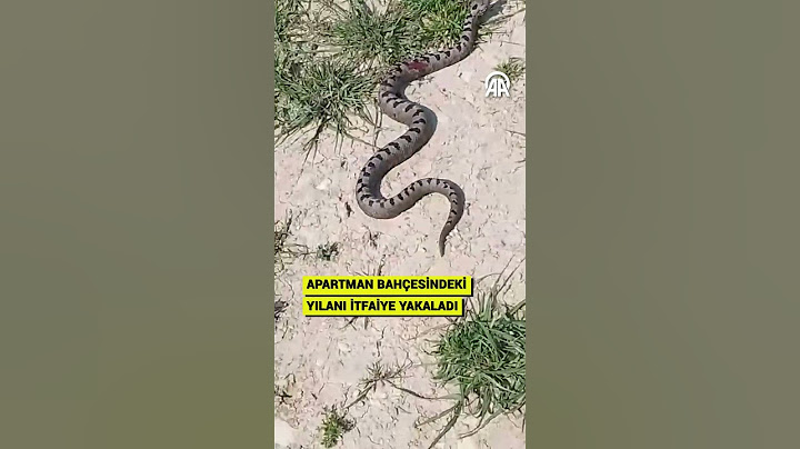 Apartman Bahçesindeki Yılanı İtfaiye Yakaladı