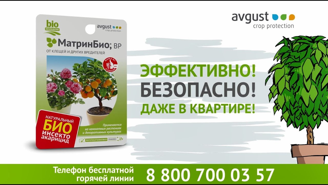 Матрин био применение. Матрин био. Препарат матринбио. Био средства от плодожорки. Матрин био 9мл.