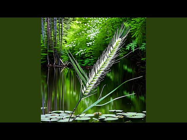 Nature's Elegance