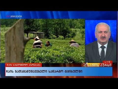 ჩაის გადამამუშავებელი საწარმო  ტყიბულში