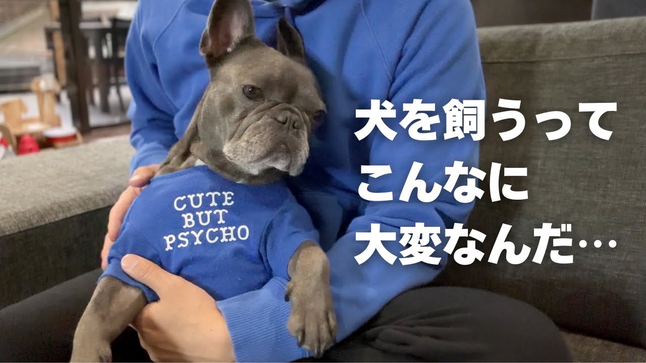 衝撃の発覚】諦めない！この子の事が大好きだから。 - YouTube