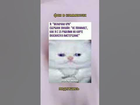 мемы #13 | #мем #мемы #фон - YouTube