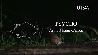 Anne-Marie x Aitch - PSYCHO