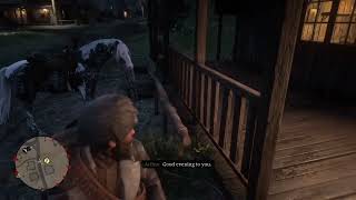 RDR2 - I Like You, Mister, You Have a Kind Face