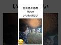 花火見た感想 それでいいわけない