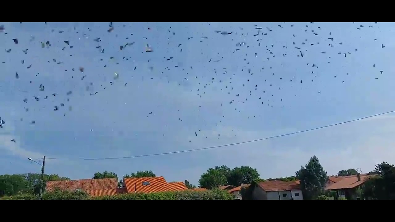 AFD9 ON A24 NAT  St Vincent GP 2023 06 16