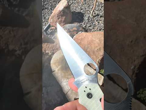 NEWEST BladeHQ Exclusive Paramilitary 2  