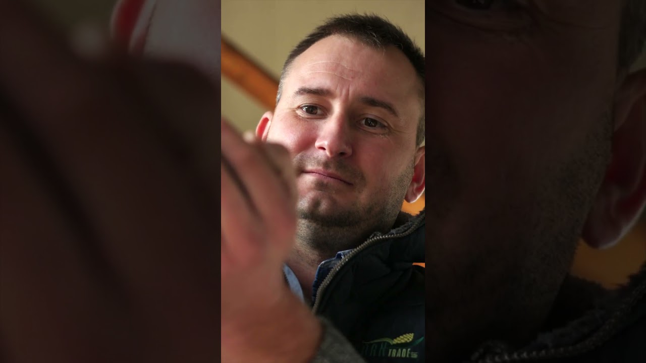 A Pictor® Active-ra magas fertőzési nyomás mellett is lehetett számítani