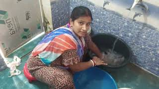 Gram Kirton Tai Bathroom R Washing R Cleaning Karlam