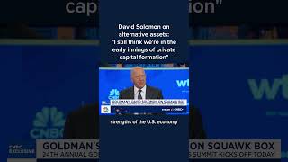 David Solomon on alternative assets: 'We're in the early innings of private capital formation'