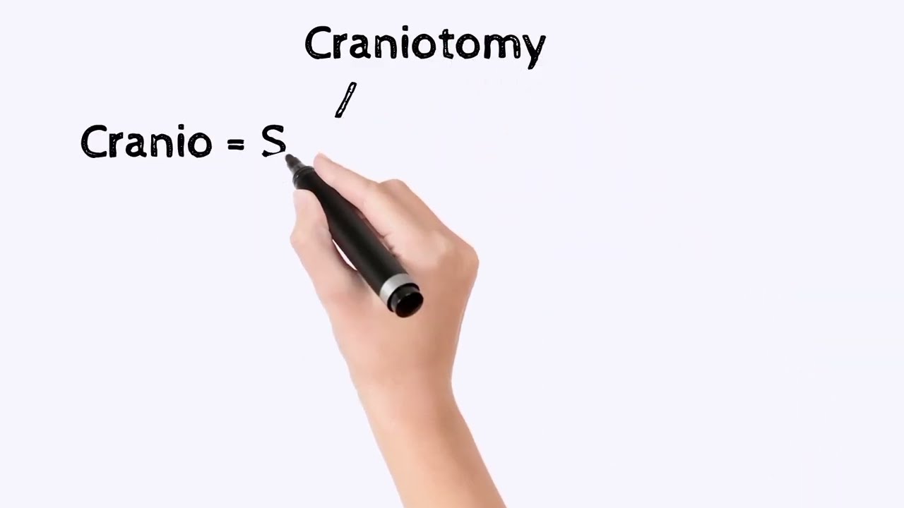 Meaning of Anatomy, Colotomy and Craniotomy.