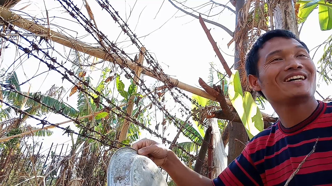 Precihole nx 200 athena air rifle power test YouTube