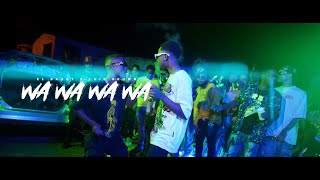El Dandy - WaWaWaWa x @LuisBrownDR (Video Oficial) @Dracoganga