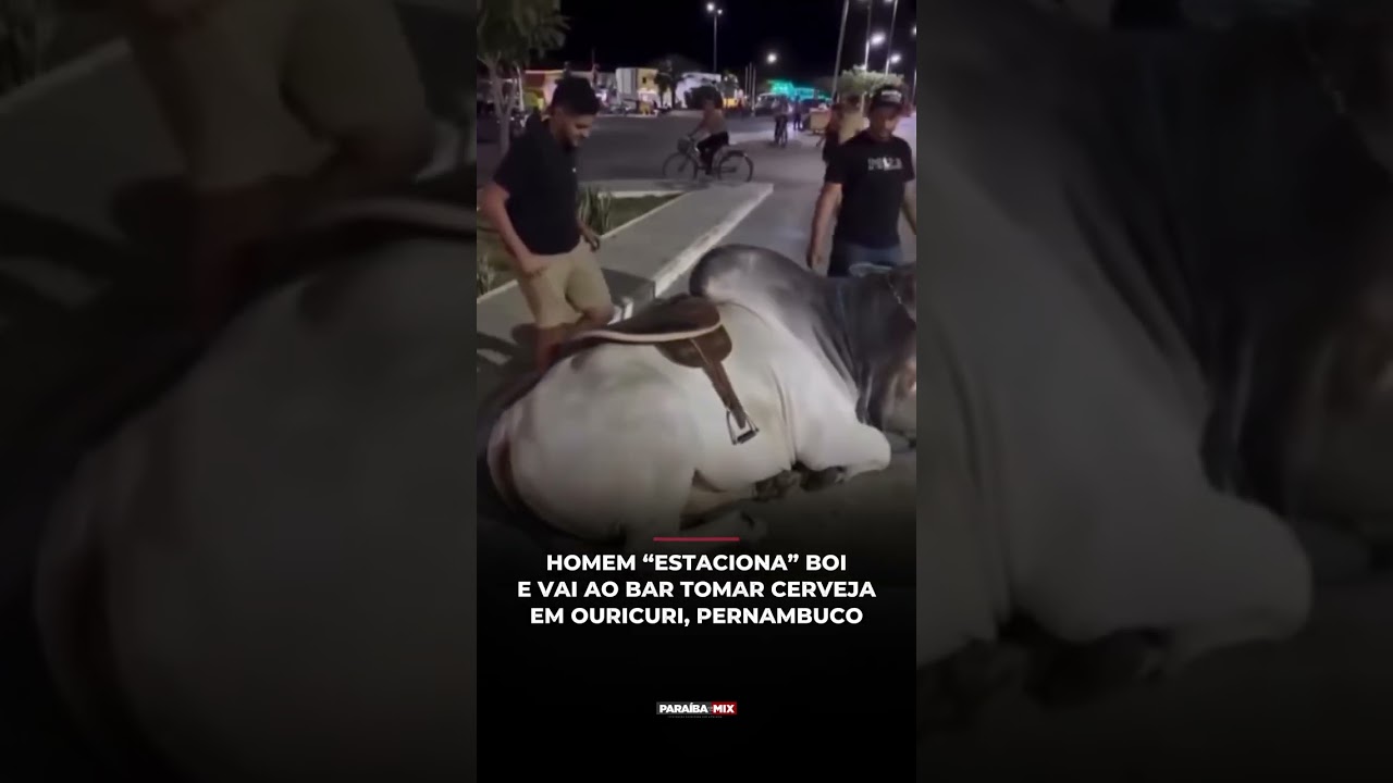 HOMEM "ESTACIOΝΑ" ΒΟΙ E VAI AO BAR TOMAR CERVEJA EM OURICURI, PERNAMBUCO