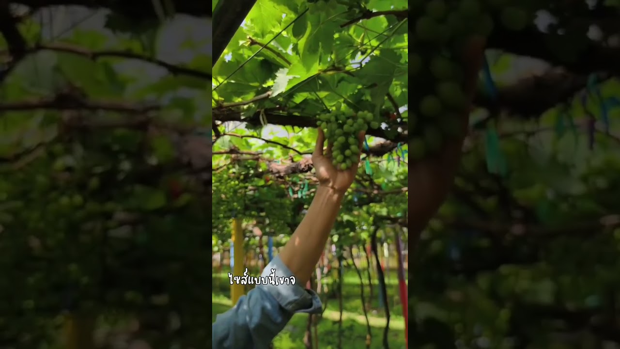 13 มกราคม 2569